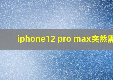 iphone12 pro max突然黑屏